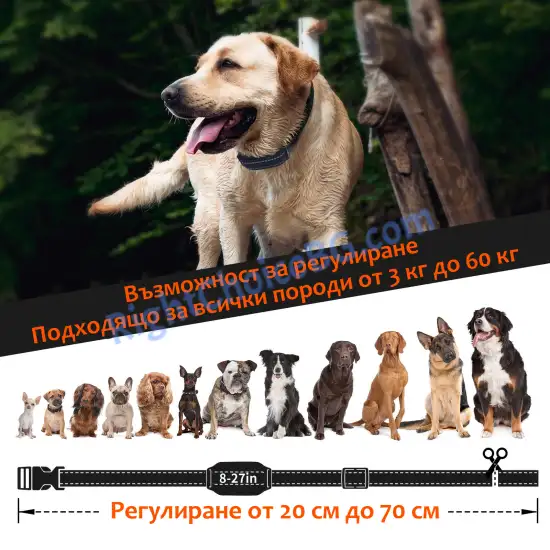 Нашийник за дресура и обучение на едно куче, модел 517 - 1000 метра, USB зареждане, IPX7 водоустойчивост Нашийник за дресура и обучение на едно куче, модел 517 - 1000 метра, USB зареждане, IPX7 водоустойчивост