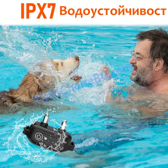 Нашийник за дресура и обучение на едно куче, модел 517 - 1000 метра, USB зареждане, IPX7 водоустойчивост Нашийник за дресура и обучение на едно куче, модел 517 - 1000 метра, USB зареждане, IPX7 водоустойчивост