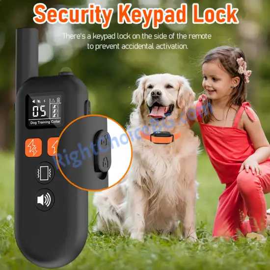 Нашийник за дресура и обучение на едно куче, модел 517 - 1000 метра, USB зареждане, IPX7 водоустойчивост Нашийник за дресура и обучение на едно куче, модел 517 - 1000 метра, USB зареждане, IPX7 водоустойчивост